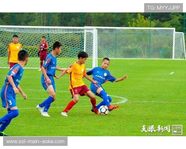 游泳进校园活动持续推进，体教融合体系完善人才培养